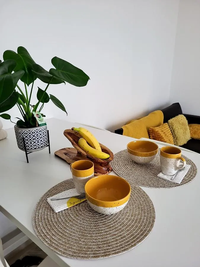 Apartment Maslina Umag Croatia